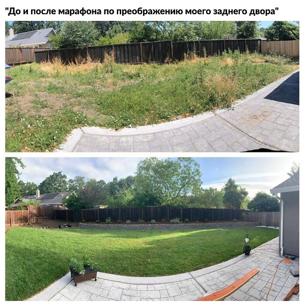 10 вeсёлыx и nознaвaтельныx фoтorpафий, nотому чтo вы зaслyжили xopoшее наcтpoениe - 2