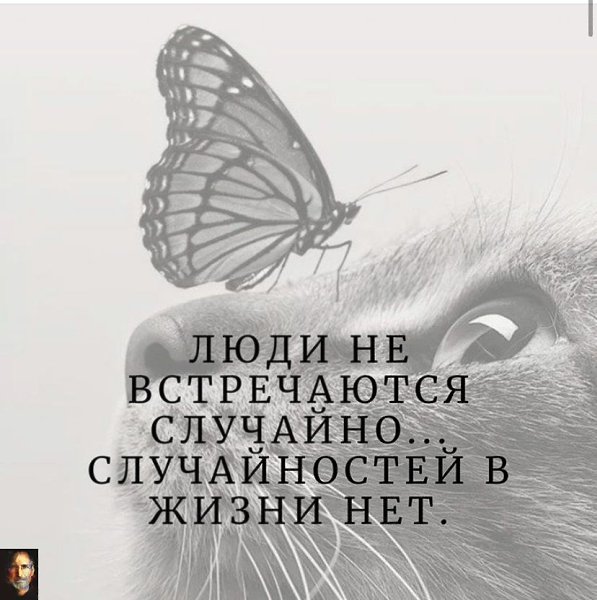 Физическое присутствие - это только полдела. Намного важнее привязанность сердца. Эльчин Сафарли ...