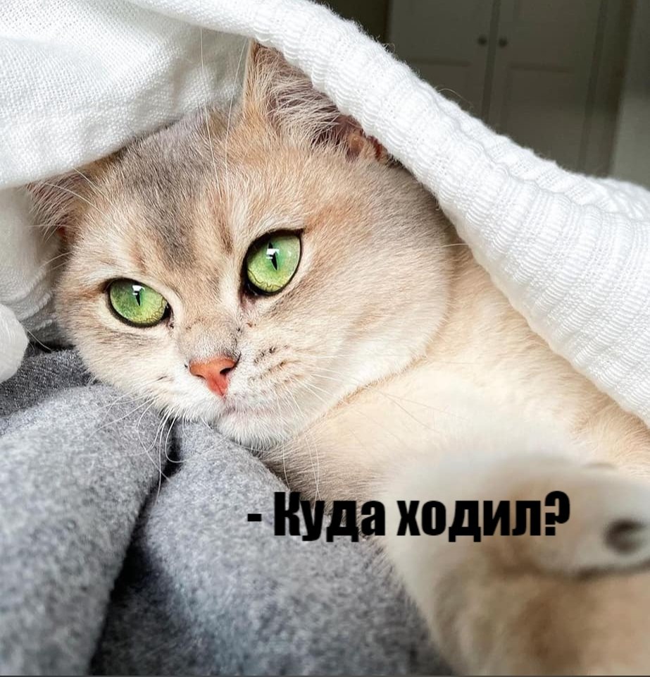       - 29  2020  18:41
