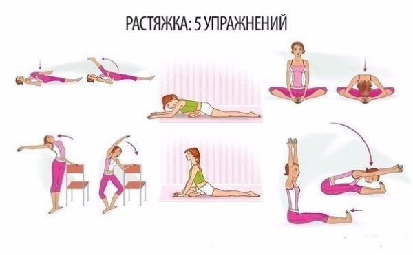 Асаны на гибкость: задержитесь от 60 до 90 секунд в каждой позиции.