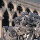 ���� ����, �����-���������, 55 ��� - ��������� 12 ������� 2021 � ������ �Carnaval Venise�