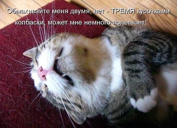    - 25  2020  19:09