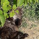 � �� �������� ����.... �� ������� ���� ����������