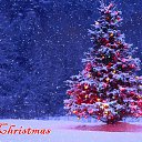 ���� �������, ������ - ��������� 22 ������� 2020 � ������ ���� ����������