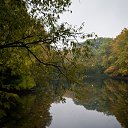 ���� �����, �����������, 68 ��� - ��������� 18 ������� 2020 � ������ ���� ����������