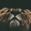 ���� ����, ������, 28 ��� - ��������� 15 ������ 2020 � ������ ���� ����������