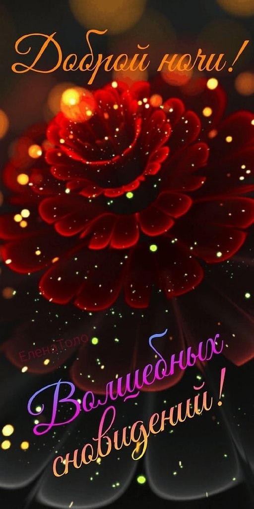   ,    . - 6  2021  21:37 - 2