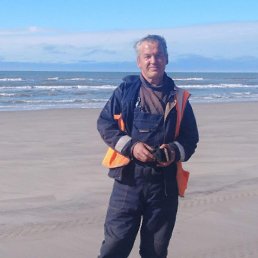 ������, ���������