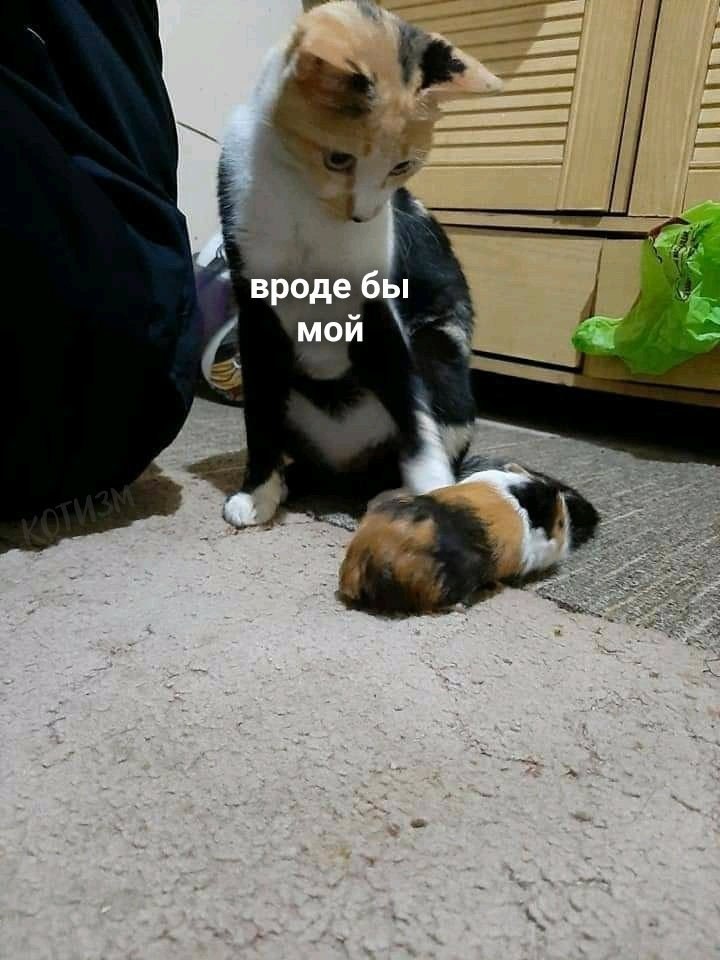   - 2