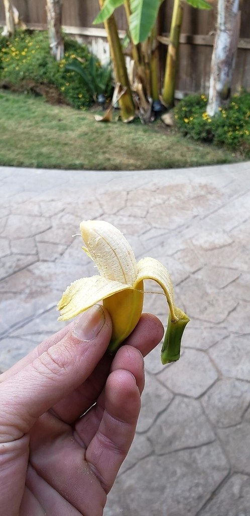       - 2