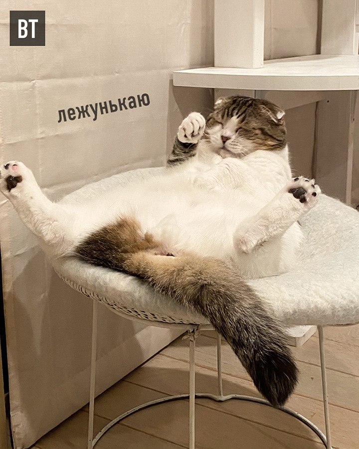   ,     : - 2