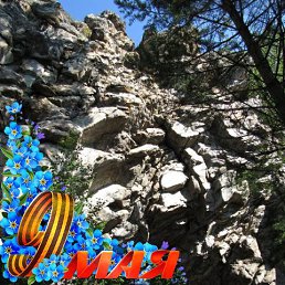 ���� ����, �������, 57 ��� - ��������� 24 ������ 2021