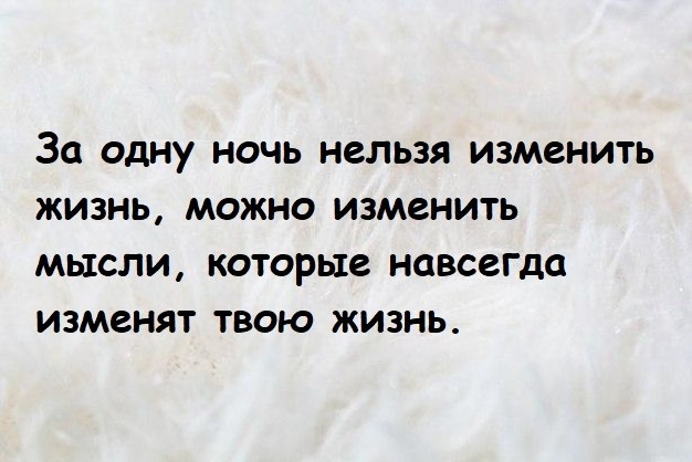    -  . - 17  2021  23:55