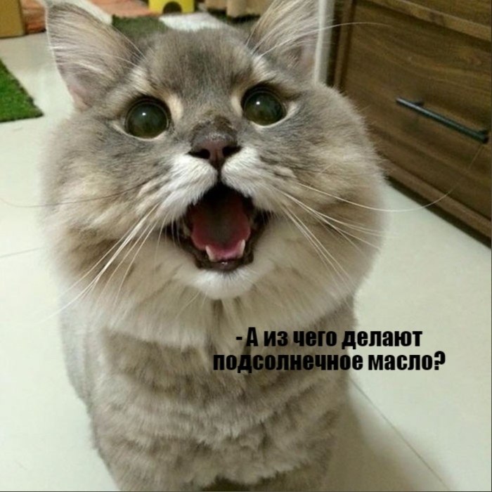       - 13  2021  21:58 - 3