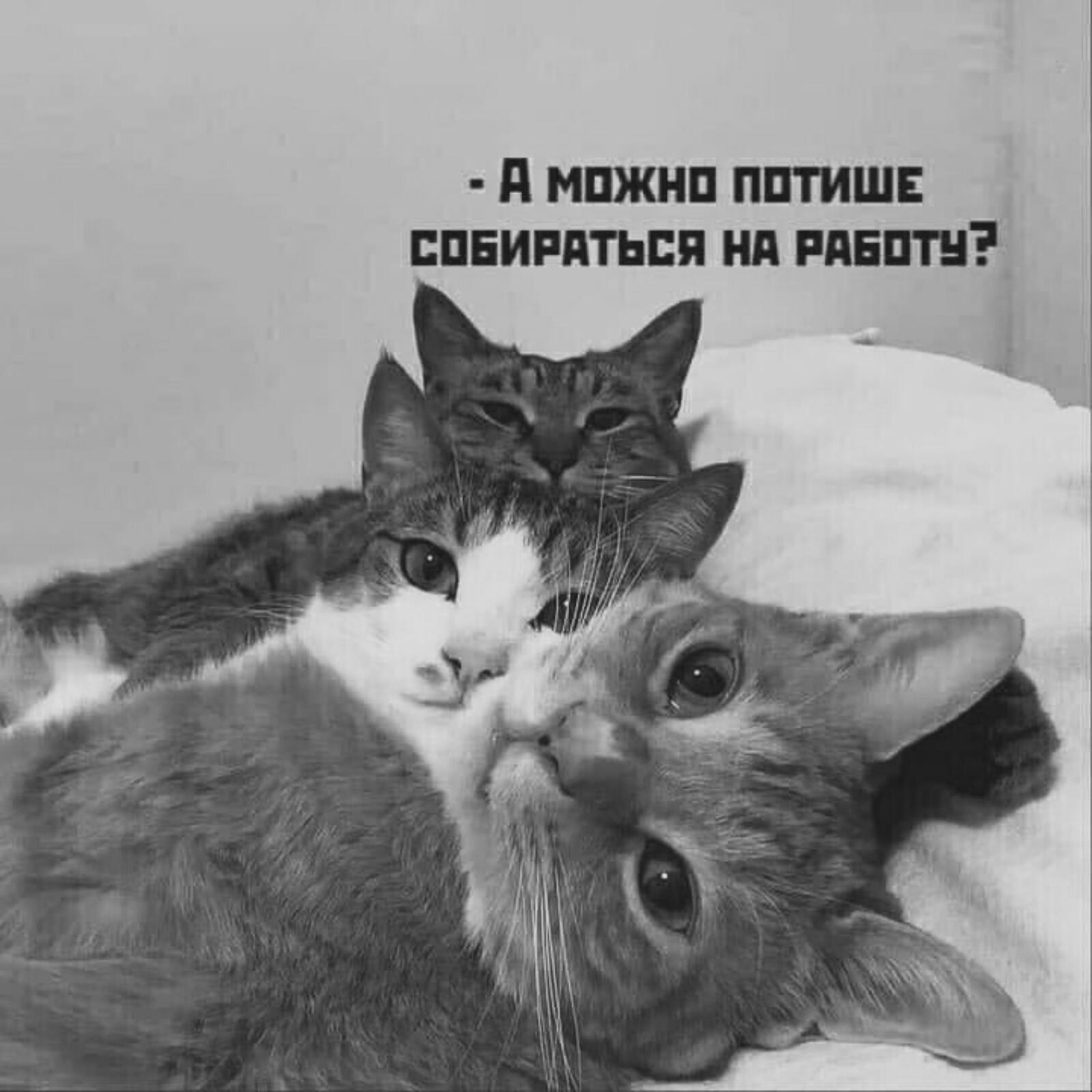 ***Victoria Viktorovna*** - 15  2021  04:59