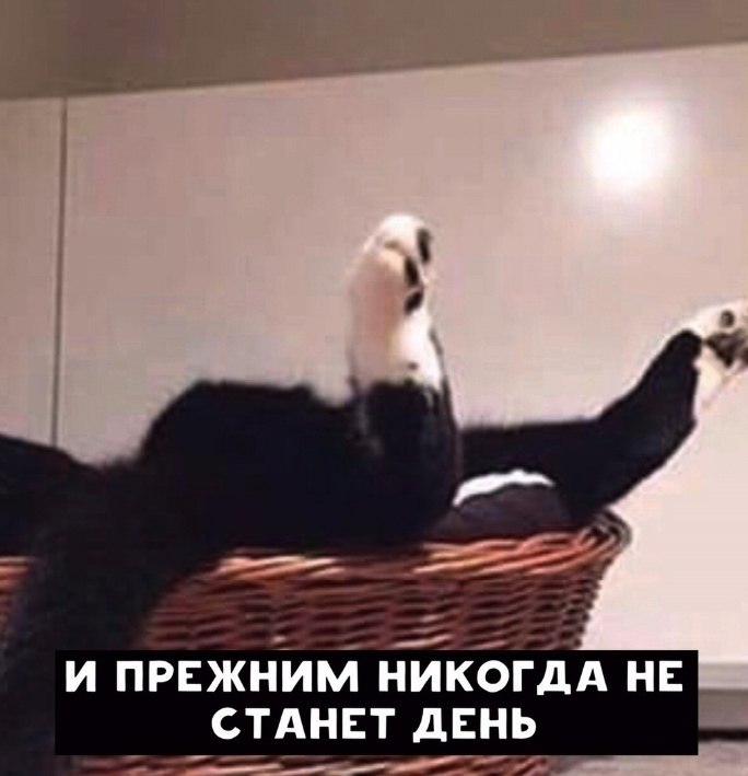      - 3
