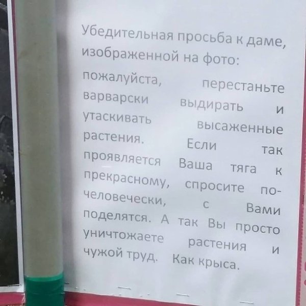 Вот как идёт борьба с вандалами в Петербурге , а почему бы и нет? Хотя вряд ли таким людям станет ... - 2