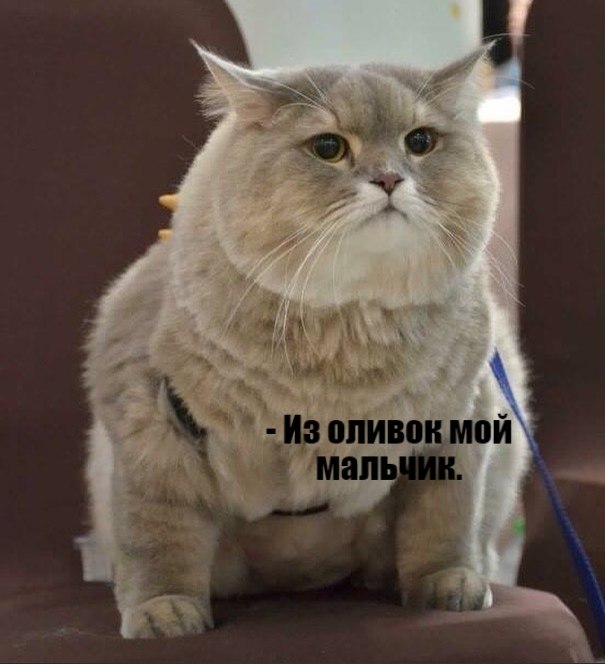       - 13  2021  21:58 - 2