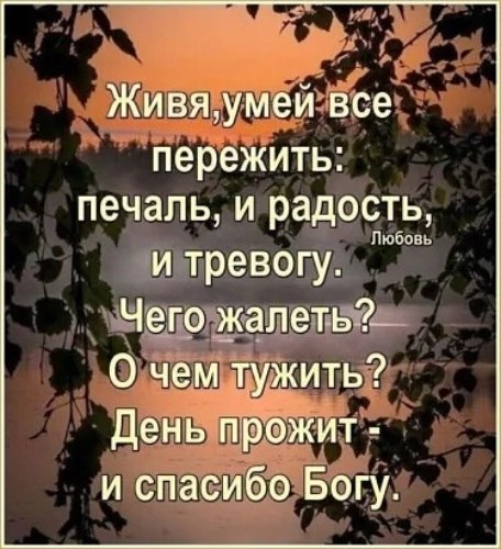   ! - 17  2020  20:56