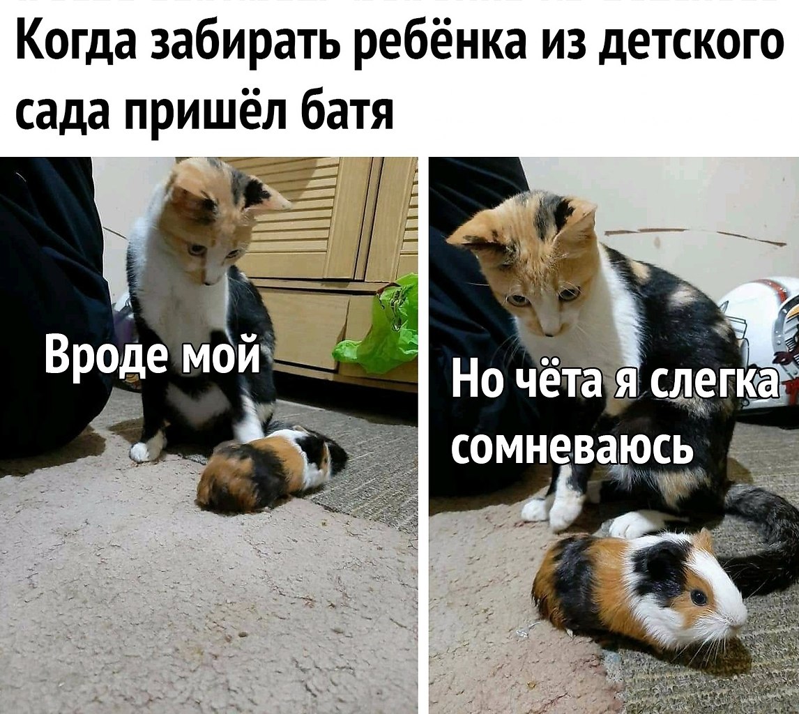   !)
