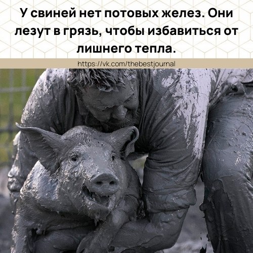 BEST | , ,  - 13  2021  15:28