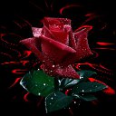 ���� Mikola, ��������� - ��������� 3 ������ 2021