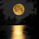 ���� �������, ������� ��������, 48 ��� - ��������� 18 ������� 2020 � ������ ���� ����������