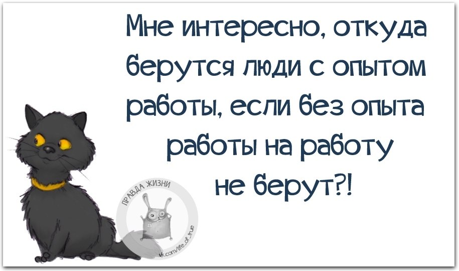 Откуда берутся люди. Шутки про поиск работы. Цитаты про поиск работы. Афоризмы про поиск работы. Шутки про опыт работы.