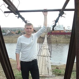 ����, ������������, 43 ����