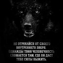 ���� Archi, ����������� - ��������� 26 ������ 2020 � ������ ���� ����������