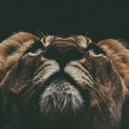 ����, ������, 28 ���