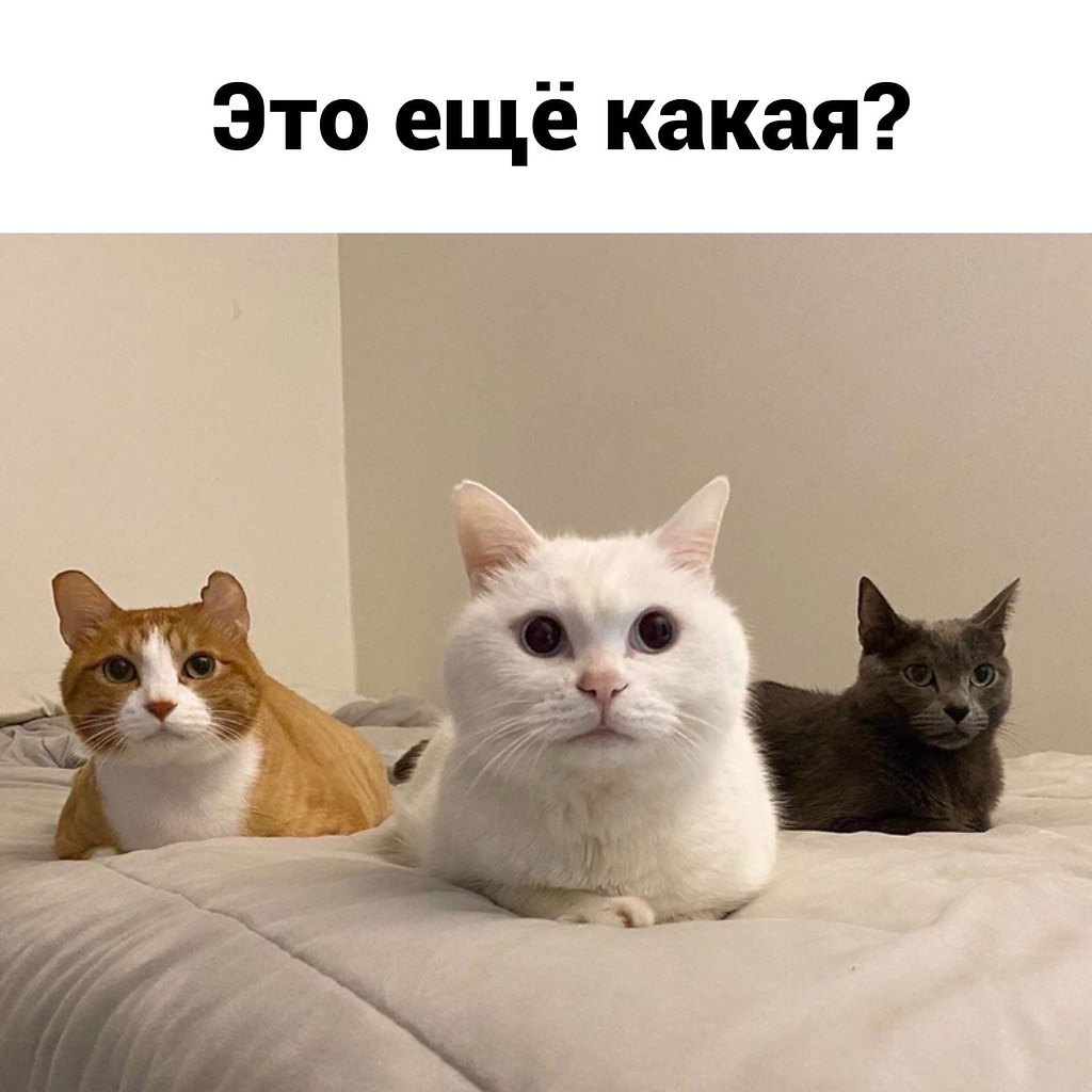   - 3
