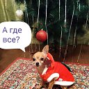 ���� Olga, ������ - ��������� 16 ������� 2020 � ������ ������ ��������