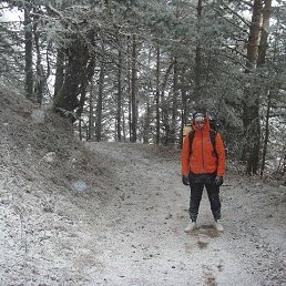 �����, ������, 36 ���