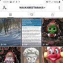 ���� �������, �����, 54 ���� - ��������� 13 ����� 2021 � ������ ���� ����������