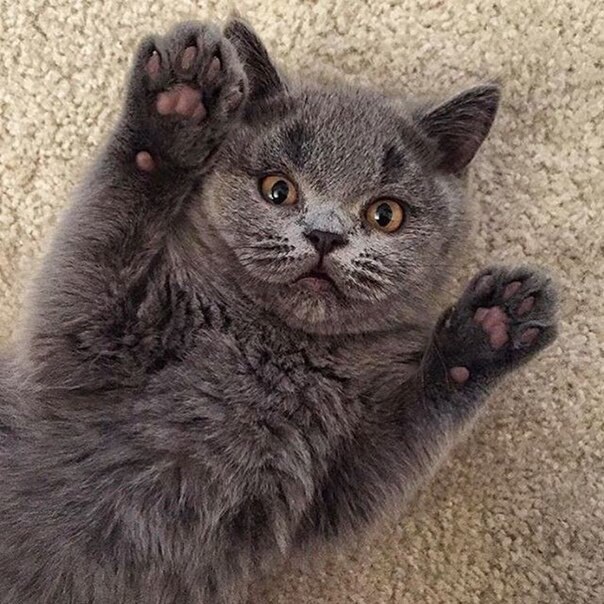 !