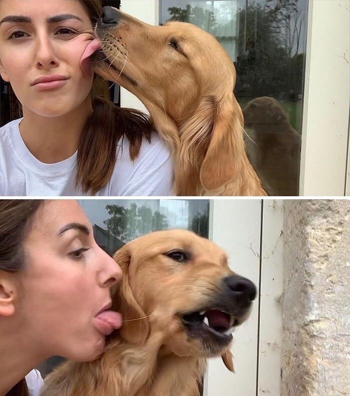   ,   .