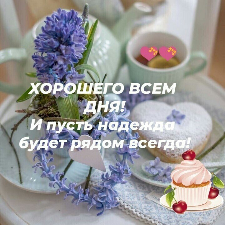   ,    . - 17  2020  23:40 - 4