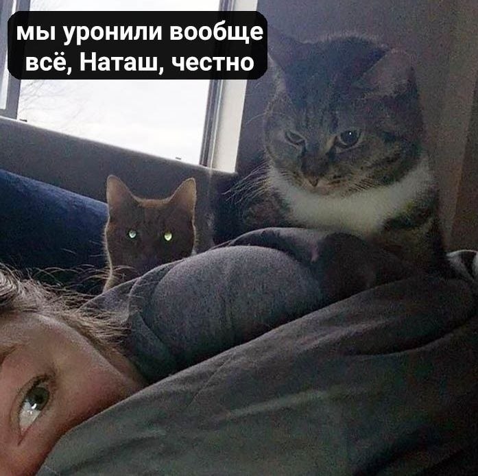   - 4