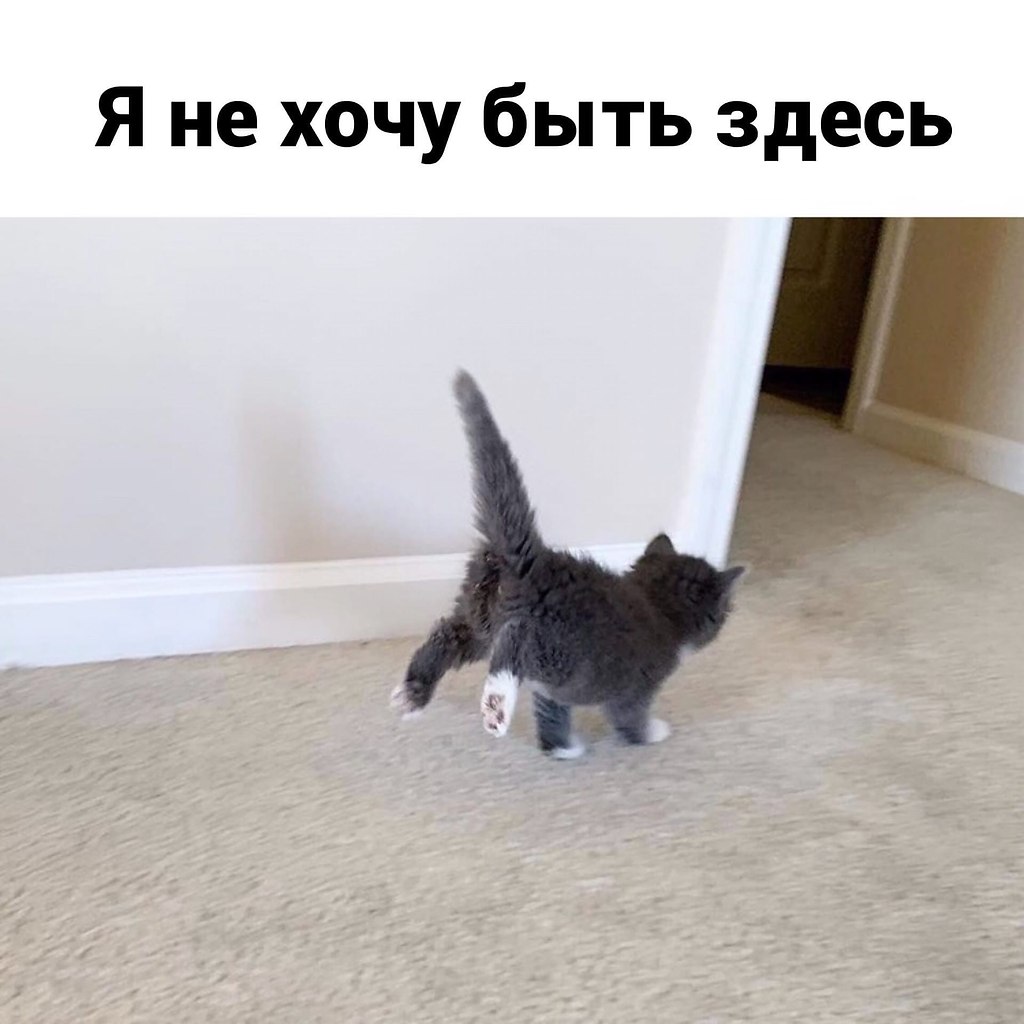   - 4
