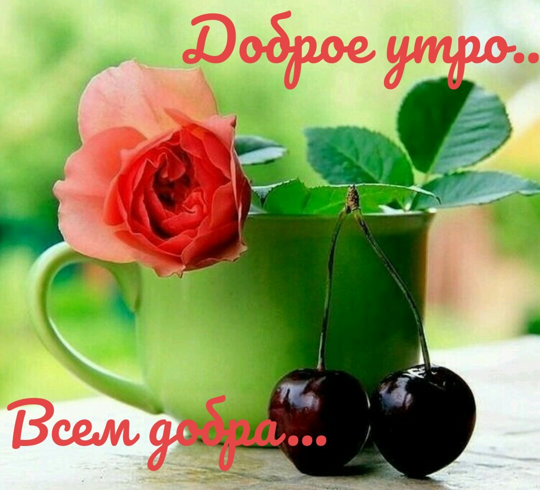   ,    . - 18  2020  00:05 - 7