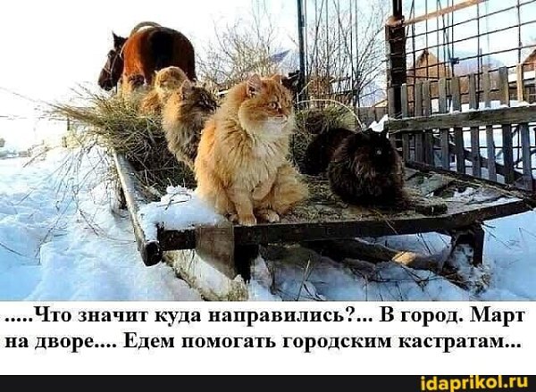  - 10  2021  15:55