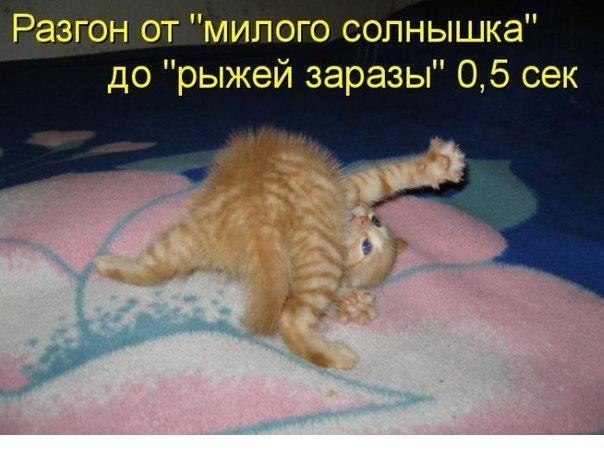    - 23  2021  02:31