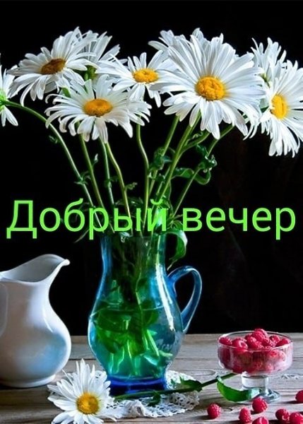   ,    . - 23  2021  17:08