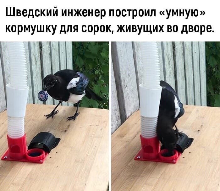 a o  p e!)