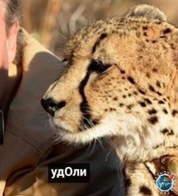 a  . a e  ee oa...  - 4