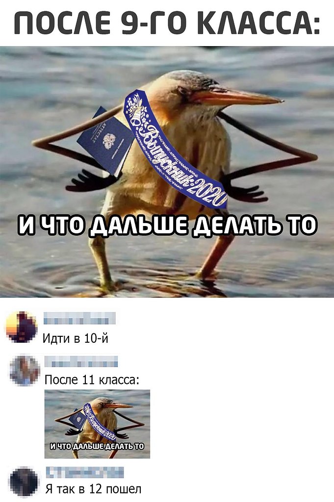 ׸  - 1  2020  18:36
