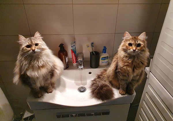 :        )))