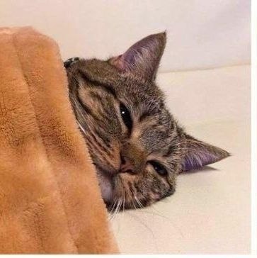 - T ,   -   p ? - , ...  c! - 3