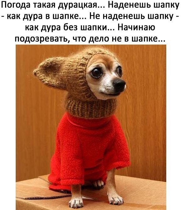 https://fotostrana.ru/away?to=/sl/XBq2p pe!